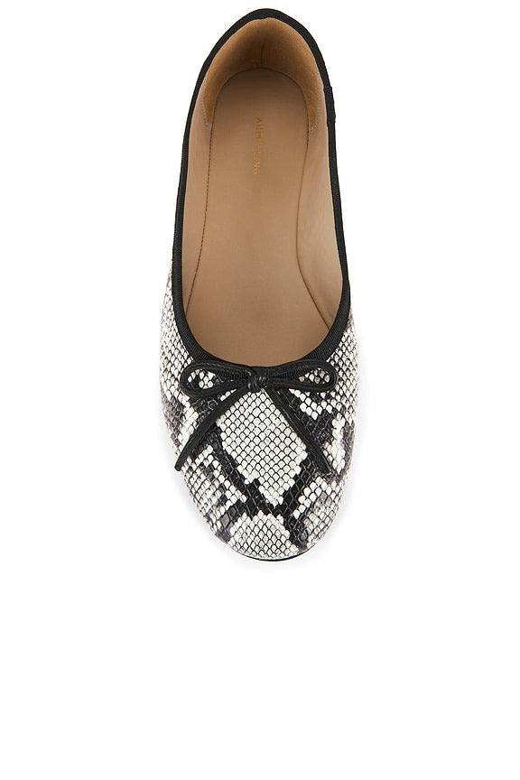 Jamie Flat in Python