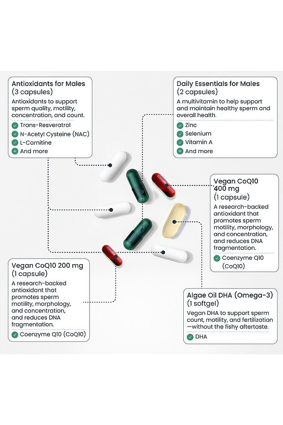 Male Fertility Power + CoQ10 Boost