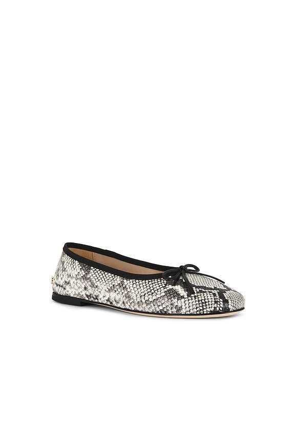 Jamie Flat in Python