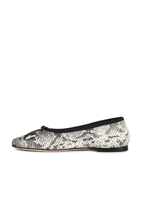 Jamie Flat in Python