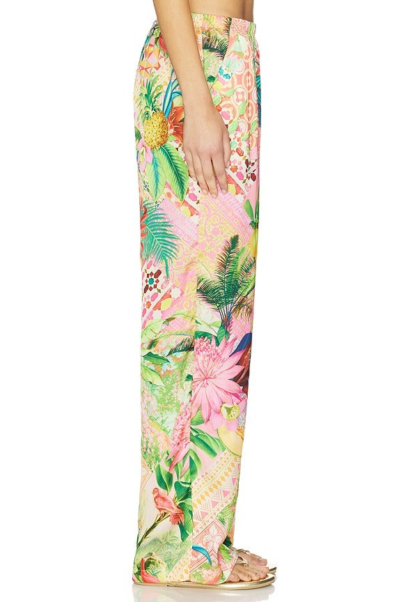Elastic Waistband Pant in Multicolor
