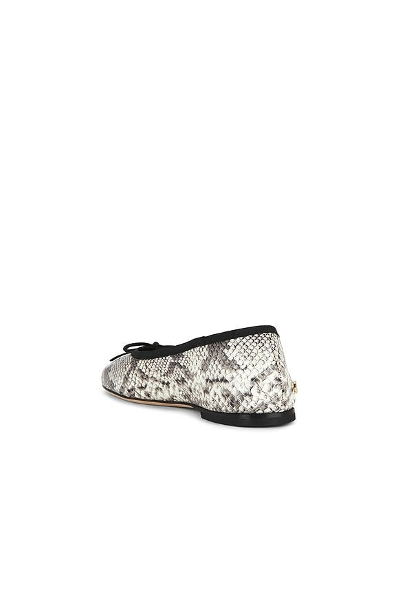 Jamie Flat in Python
