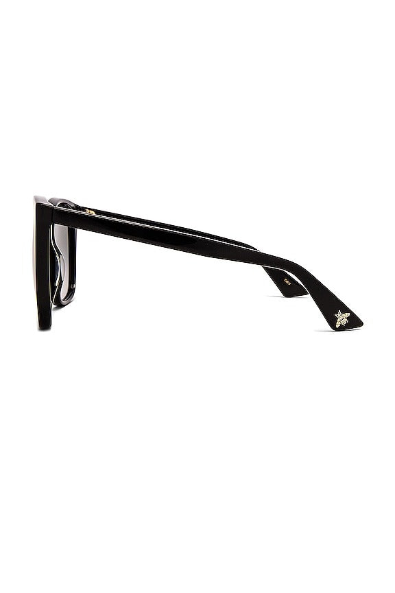 Light Acetate Cat Eye Sunglasses in Black