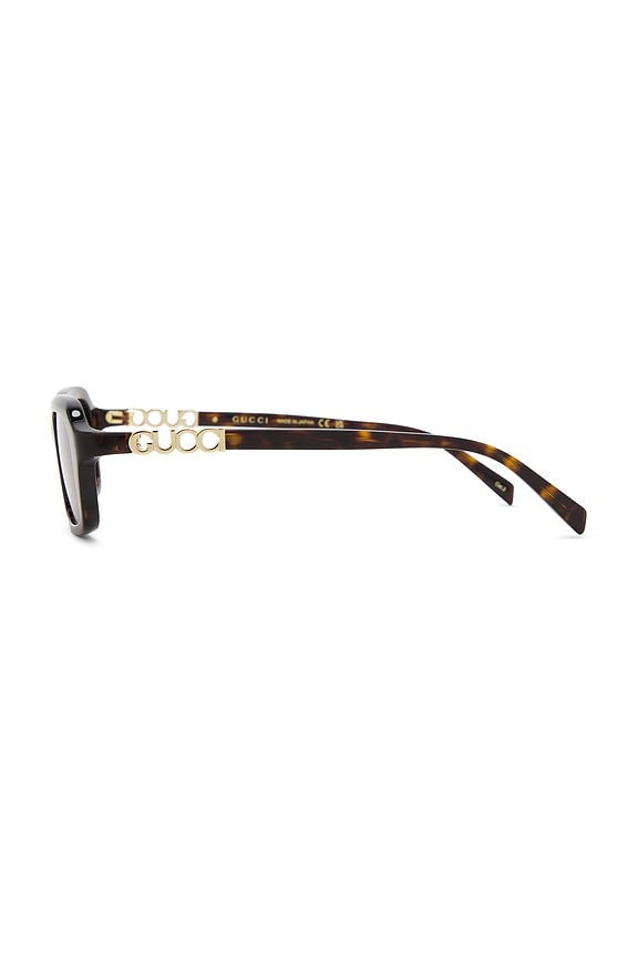 Rectangular Sunglasses in Havana & Brown